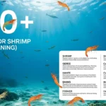 Names for Shrimp