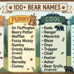 Names for Bear