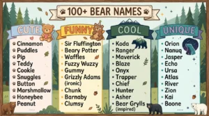 Names for Bear